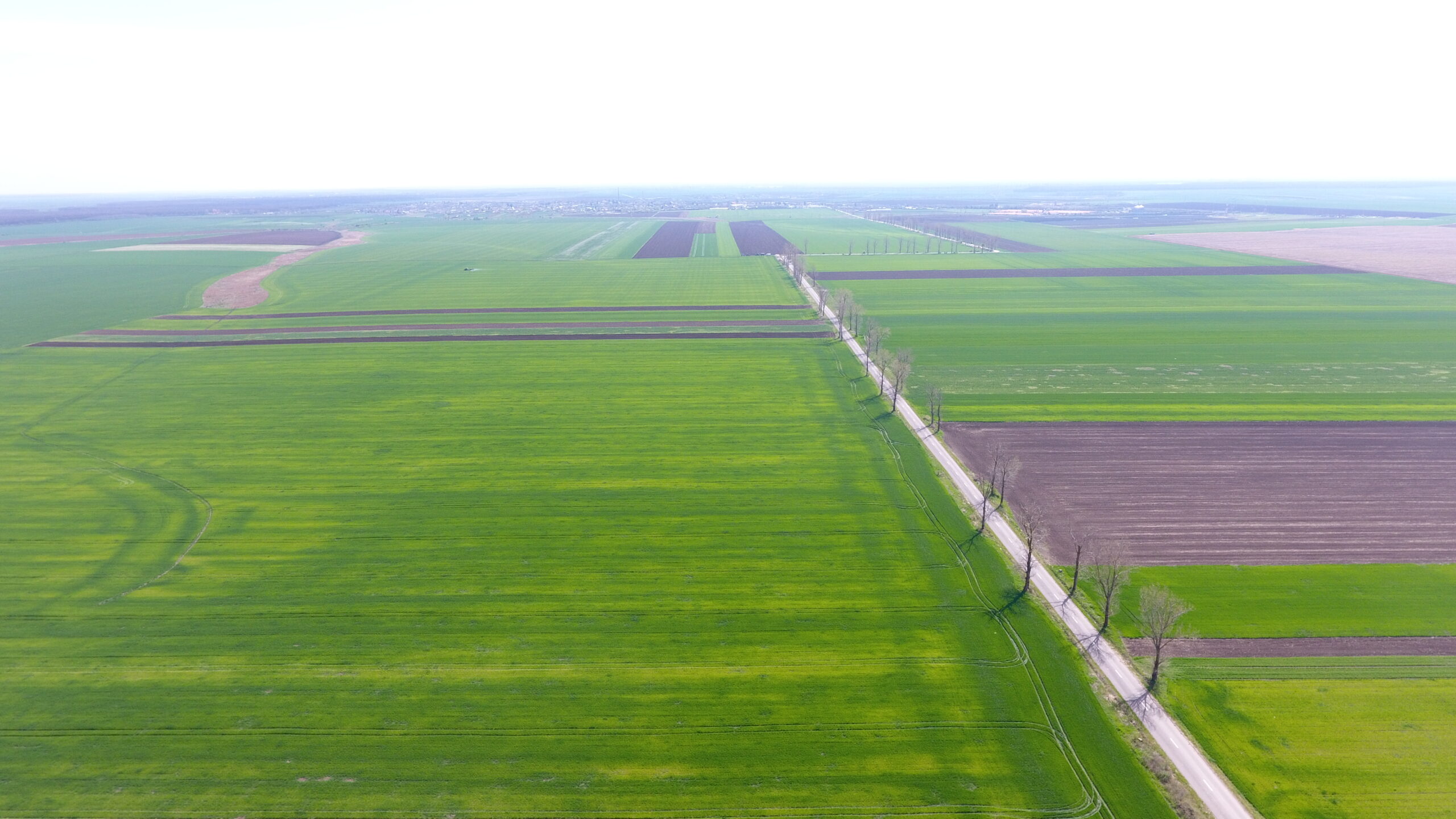 Πειραματική εφαρμογή με γεωργικό drone στη Ρουμανία